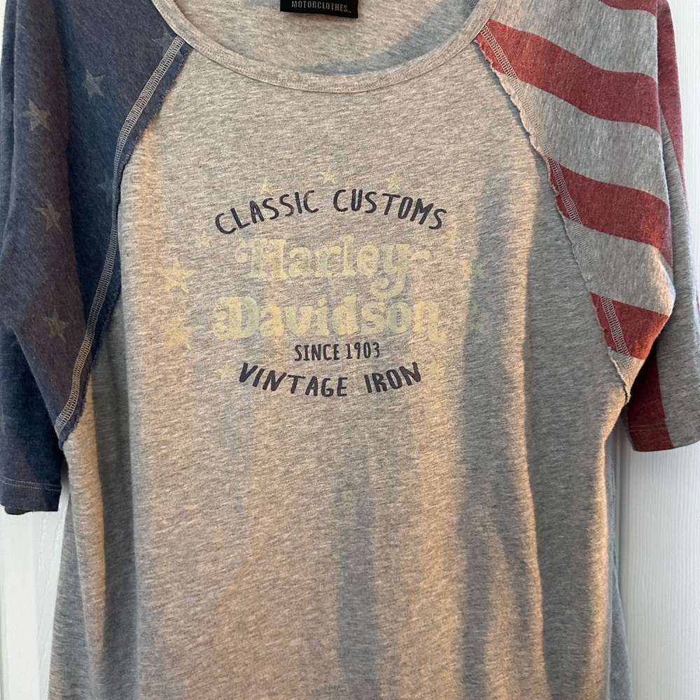 Harley Davidson Gray and Blue T-Shirt